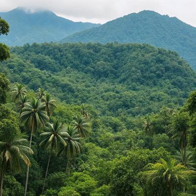 Primary subject: A lush green forest with palm trees and mountains in the background.

Setting/background: The forest is filled with green trees and palm trees, creating a serene and natural atmosphere. The mountains in the background add to the beauty and grandeur of the scene.

Visual style: The image is a photo of the forest, capturing the vibrant colors and natural beauty of the scene.

Colors and mood: The dominant colors in the image are green, brown, and yellow,